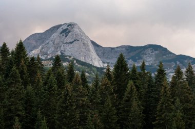 Karadağ 'ın Durmitor Ulusal Parkı' nın resimli yaz manzarası