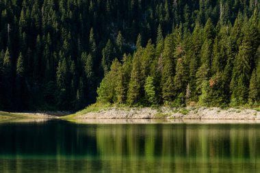 Karadağ 'ın Durmitor Ulusal Parkı' ndaki Kara Göl (Crno Lake) yaz manzarası