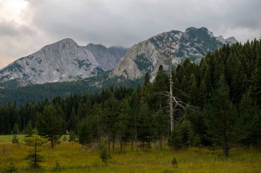 Karadağ 'ın Durmitor Ulusal Parkı' nın resimli yaz manzarası