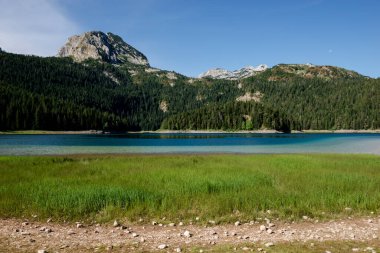 Karadağ 'ın Durmitor Ulusal Parkı' ndaki Kara Göl (Crno Lake) yaz manzarası