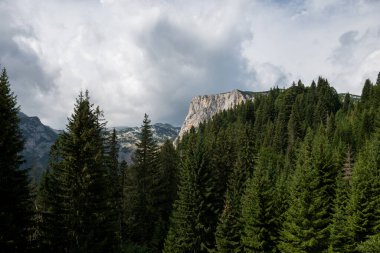 Karadağ 'ın Durmitor Ulusal Parkı' nın resimli yaz manzarası