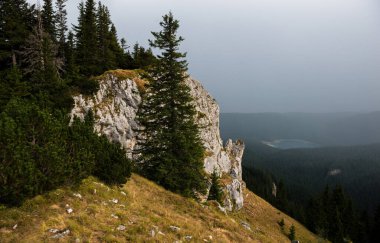 Karadağ 'ın Durmitor Ulusal Parkı' nın resimli yaz manzarası