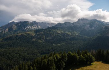 Karadağ 'ın Durmitor Ulusal Parkı' nın resimli yaz manzarası