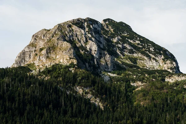 Picturesque Summer Mountain Landskap Durmitor Nasjonalpark Montenegro – stockfoto