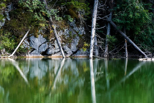 Malowniczy Letni Krajobraz Górski Jeziora Zminje Jezioro Węża Parku Narodowym — Zdjęcie stockowe