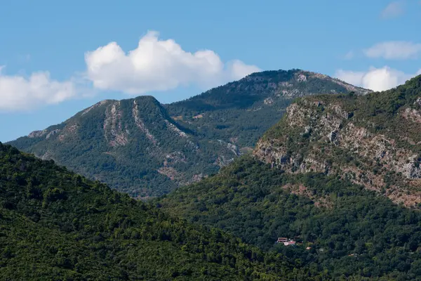 Verão Pitoresco Paisagem Montanhosa Montenegro — Fotografia de Stock