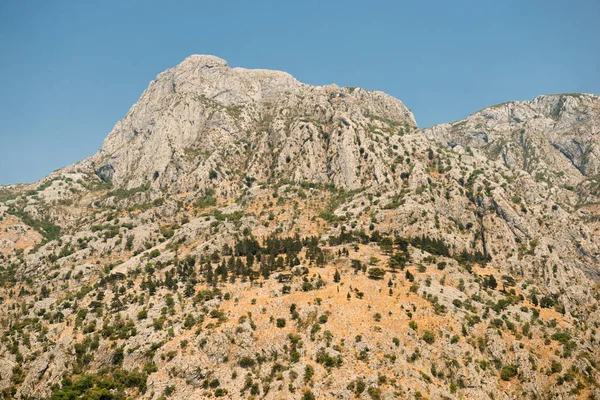 Verão Pitoresco Paisagem Montanhosa Montenegro — Fotografia de Stock