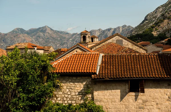 Kotor Sommaren Montenegro — Stockfoto