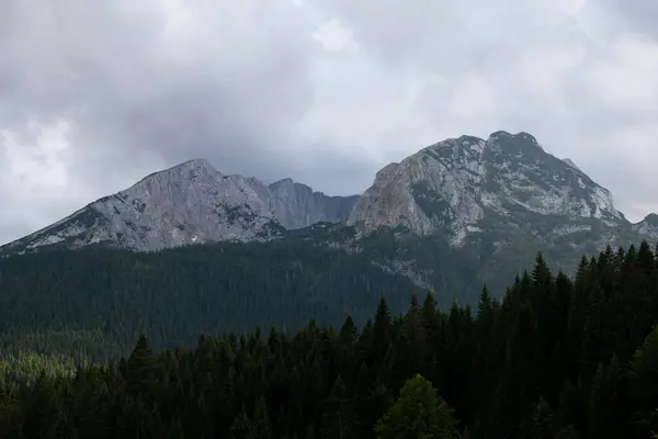 Picturesque Summer Mountain Landscape Durmitor National Park Montenegro — Stock Photo, Image