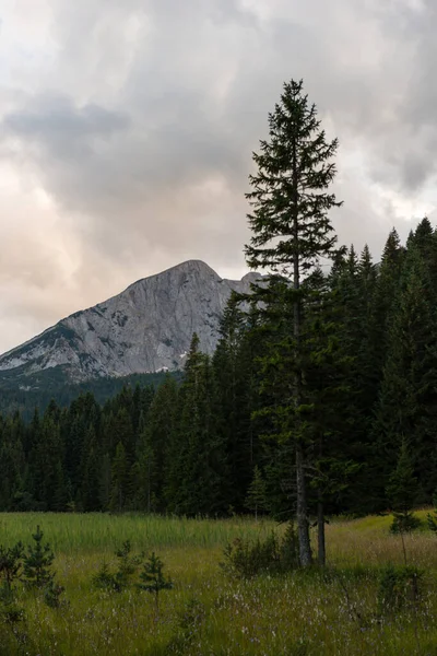 Pittoresco Paesaggio Montano Estivo Del Parco Nazionale Durmitor Montenegro — Foto Stock