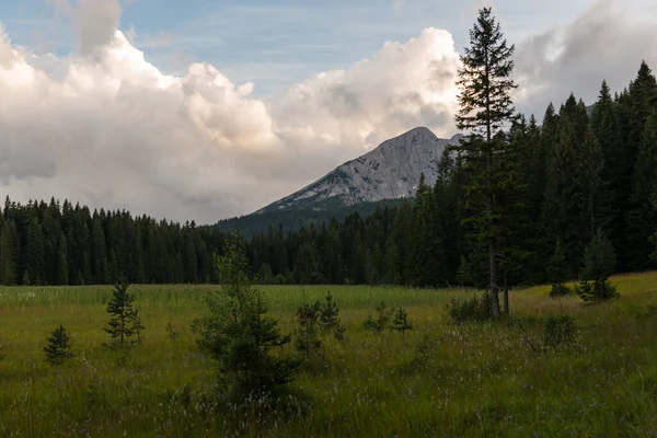 Picturesque Summer Mountain Landskap Durmitor Nasjonalpark Montenegro – stockfoto