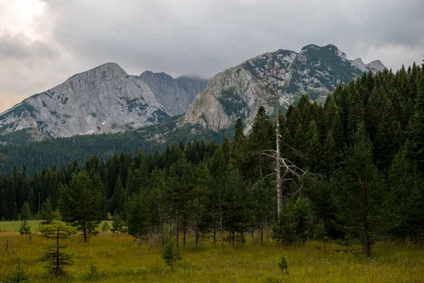 Picturesque Summer Mountain Landskap Durmitor Nasjonalpark Montenegro – stockfoto