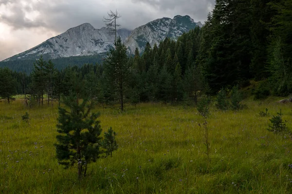 Pittoresco Paesaggio Montano Estivo Del Parco Nazionale Durmitor Montenegro — Foto Stock