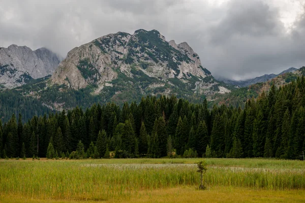 Picturesque Summer Mountain Landskap Durmitor Nasjonalpark Montenegro – stockfoto