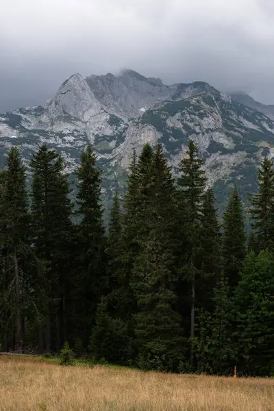 Pittoresco Paesaggio Montano Estivo Del Parco Nazionale Durmitor Montenegro — Foto Stock