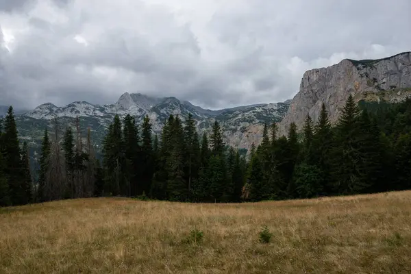 Picturesque Summer Mountain Landscape Durmitor National Park Montenegro — Stock Photo, Image