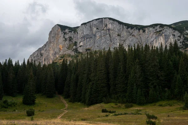 Picturesque Summer Mountain Landskap Durmitor Nasjonalpark Montenegro – stockfoto