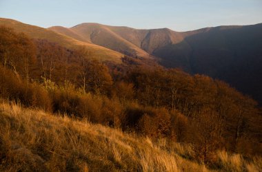 Karpat dağlarında sonbahar, Ukrayna