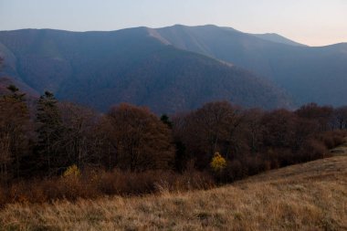 Karpat dağlarında sonbahar, Ukrayna