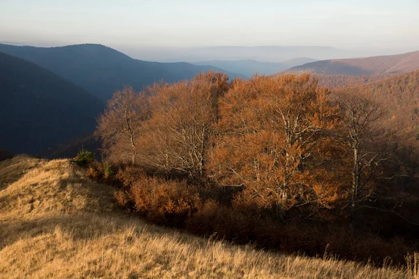 Karpat Dağlarında Sonbahar Ukrayna — Stok fotoğraf