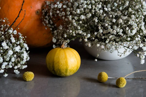 Autumn Decoration Gray Background — Stock Photo, Image