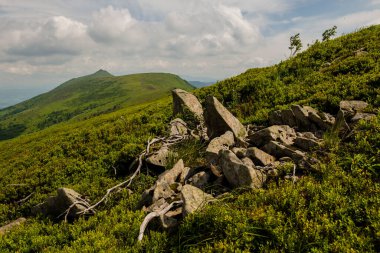 Karpat dağlarında bulutlu bir gün, Ukrayna