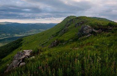 Ukrayna, Karpatya dağlarında sabah