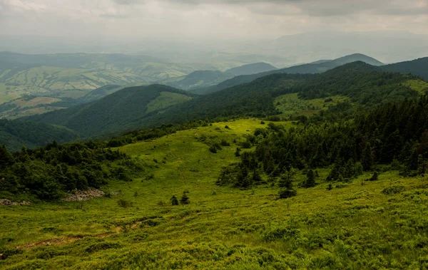 Karpat Dağlarında Bulutlu Bir Gün Ukrayna — Stok fotoğraf