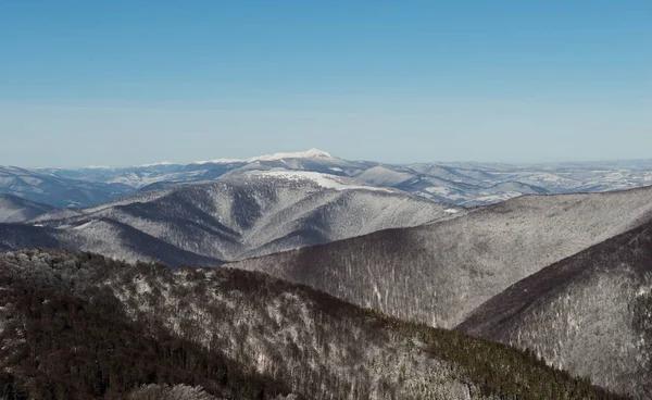 Karpat Dağları, Ukrayna 'da kış manzarası
