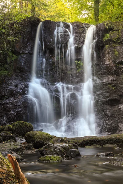 Belle vue sur la cascade en forêt — Photo