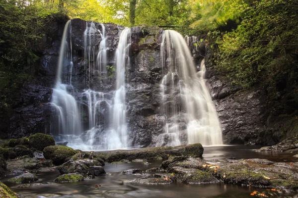 Cascade en forêt — Photo