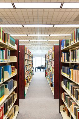 Kitaplık ayarı ile kitap ve okuma malzemesi