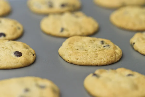 Frisch gebackene Plätzchen auf einem Backblech, selbst gebacken — Stockfoto