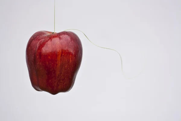 Apple bir katarı