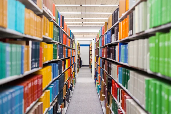 Ajuste de biblioteca con libros y material de lectura — Foto de Stock