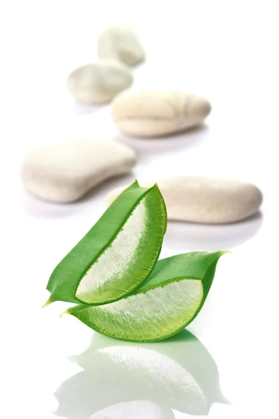 taze kesilmiş aloe vera dilimleri ve taşlar