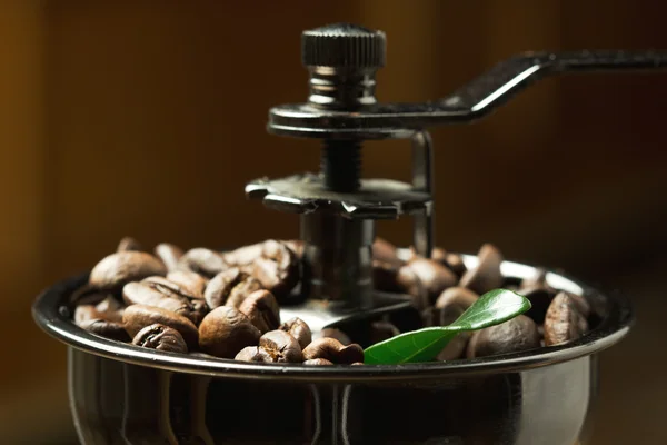 Granos de café de cerca con hoja verde en molinillo de café —  Fotos de Stock