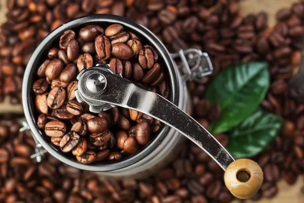 Granos de café de cerca con hoja verde en molinillo de café —  Fotos de Stock