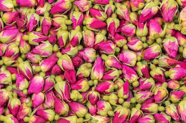 çay çiçek arka plan gül