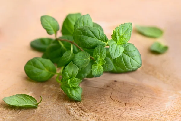 Hojas verdes frescas de menta sobre madera — Foto de Stock