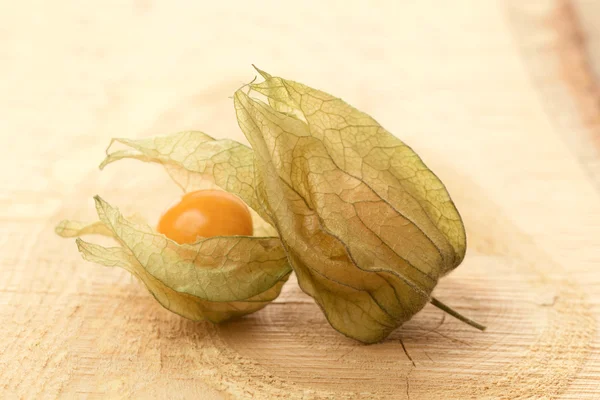 Physalis - cape krusbär — Stockfoto