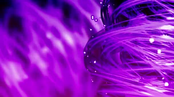 Purple Light Streaks - Abstract Background 79 (HD) — Stock Video