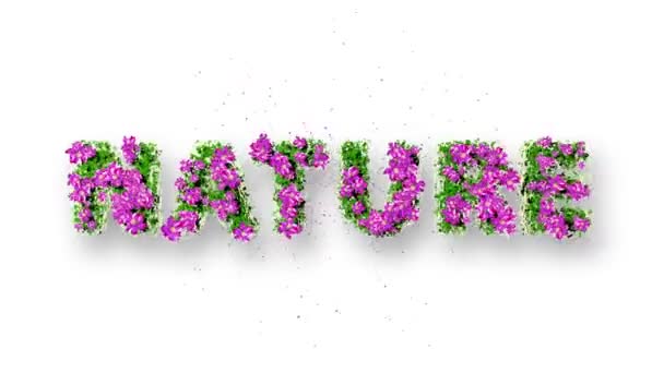 NATURE Texte 3D Motion Graphics 