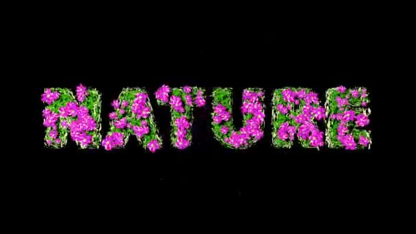 NATUREZA Texto 3D Motion Graphics com Alpha — Vídeo de Stock