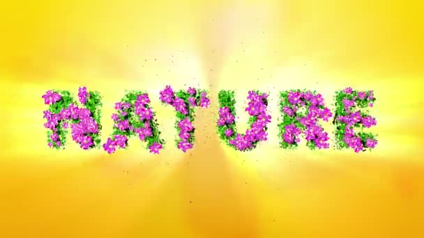 NATURE Texte 3D Motion Graphics 
