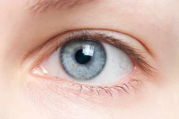 Gros plan sur les yeux humains — Photo