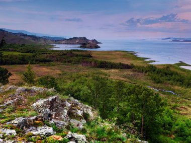 Bay mukhor olarak adlandırılan.