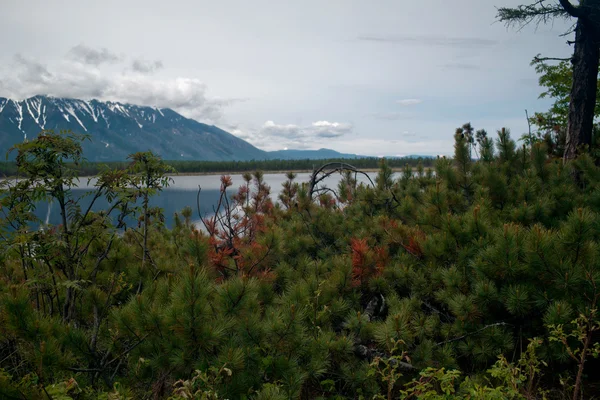 К северу от озера Байкал — стоковое фото