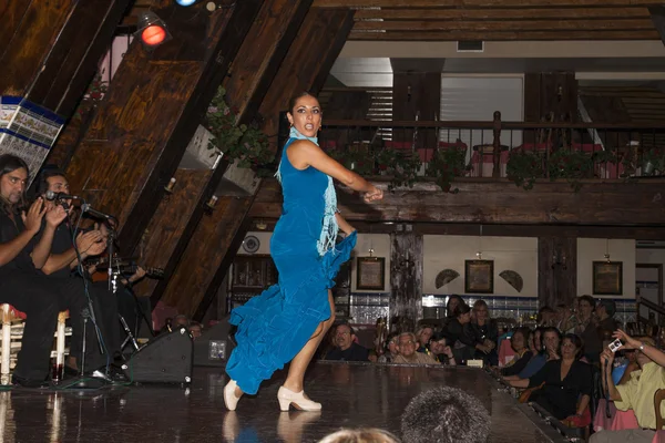 Flamenco koncert Stock Kép