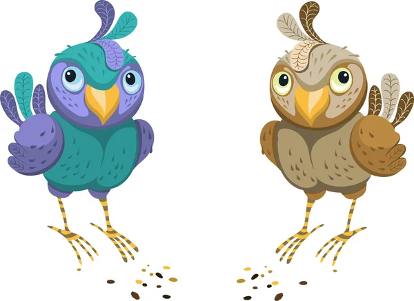 Due uccelli colorati su sfondo bianco — Vettoriale Stock